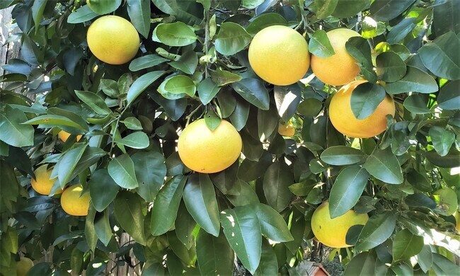 property at 1902 Coulcrest Dr