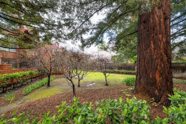 4250 El Camino Real in Palo Alto, CA - Building Photo - Building Photo