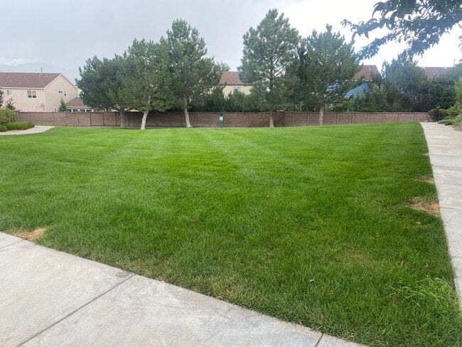 8735 Bamboo Grove in Colorado Springs, CO - Building Photo - Building Photo