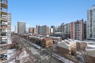 1255 N Sandburg Terrace in Chicago, IL - Building Photo - Building Photo