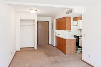 Ivy Apartments in St. Cloud, MN - Building Photo - Interior Photo