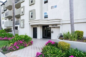 4500 Laurel Canyon Blvd in Los Angeles, CA - Building Photo - Building Photo