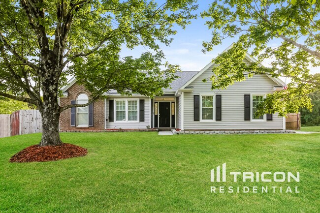 property at 11106 Pinetta Ln