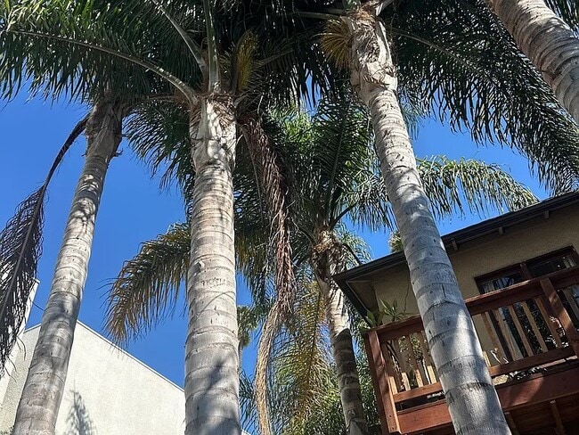 725 Washington Blvd, Unit Lower Unit in Marina Del Rey, CA - Foto de edificio - Building Photo