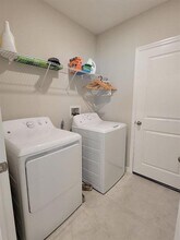 3904 Wild Senna Blvd in Tampa, FL - Building Photo - Building Photo