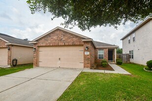 17119 Hawks Landing Dr in Hockley, TX - Building Photo