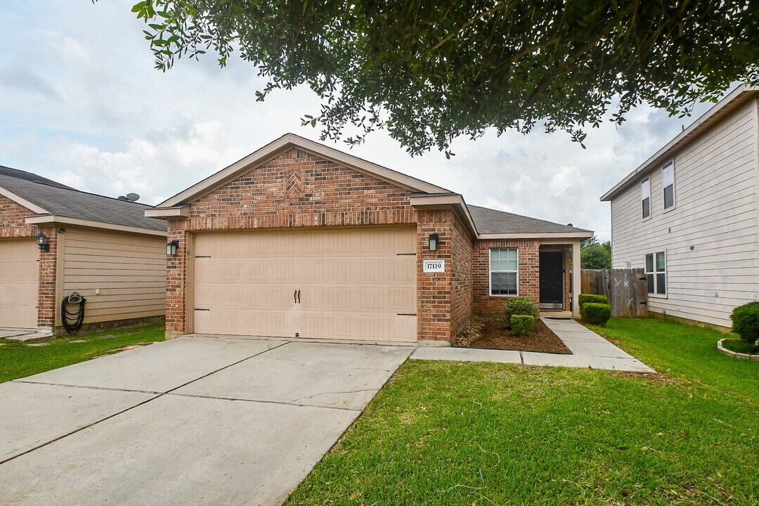 17119 Hawks Landing Dr in Hockley, TX - Building Photo