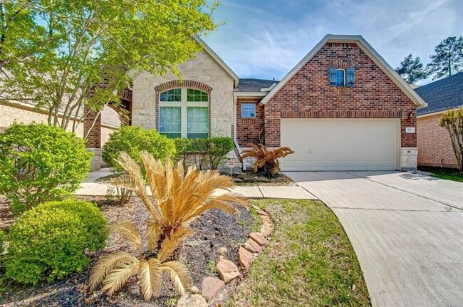 75 Tapestry Forest Pl in The Woodlands, TX - Building Photo - Building Photo