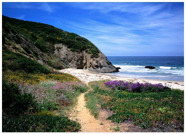 16 Corniche Dr, Unit H in Dana Point, CA - Building Photo