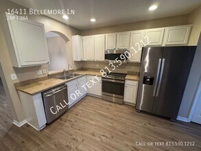 16411 Bellemore Ln in Odessa, FL - Building Photo - Building Photo