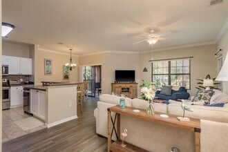 2141 Portofino Pl in Palm Harbor, FL - Building Photo - Building Photo