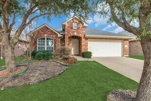 2849 Evening Mist Dr in Little Elm, TX - Building Photo