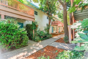 Villa Verde Apartments in Fremont, CA - Foto de edificio - Building Photo