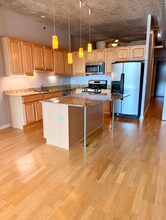 125 E 13th St in Chicago, IL - Building Photo - Building Photo