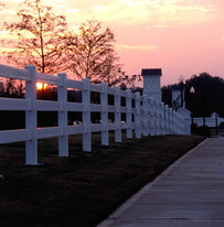 Carrington at Schilling Farms Apartments