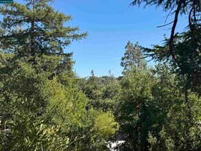 919 Janet Ln in Lafayette, CA - Building Photo - Building Photo