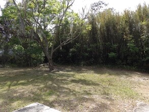 539 N Sparkman Ave in Orange City, FL - Building Photo - Building Photo