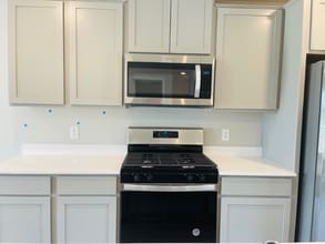 12549 Guadalcanal Cir in Blaine, MN - Building Photo - Building Photo
