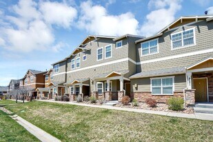 5647 Celtic Cross Grove in Colorado Springs, CO - Building Photo