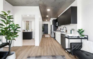 255 N Elizabeth St in Chicago, IL - Building Photo