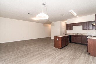 3903 Lexington Grove Ct in Missouri City, TX - Foto de edificio - Building Photo