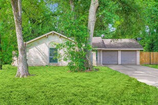 3415 Bristlecone Trail in Spring, TX - Building Photo