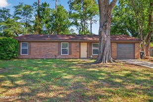 1675 Mary Beth Dr in Middleburg, FL - Building Photo