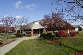 Cambridge Terrace in Mt. Pleasant, MI - Foto de edificio - Building Photo