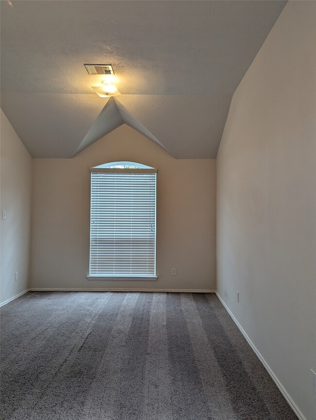 13319 Lansdown St in Rosharon, TX - Building Photo - Building Photo