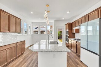 313 Salty Dog Pass in Leander, TX - Building Photo - Building Photo