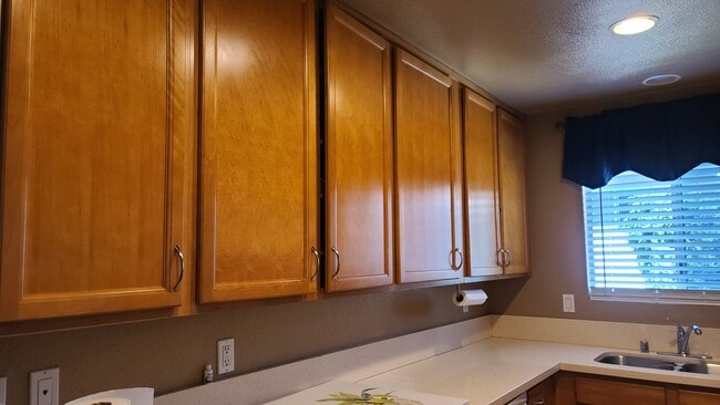property at 7831 Camino Noguera