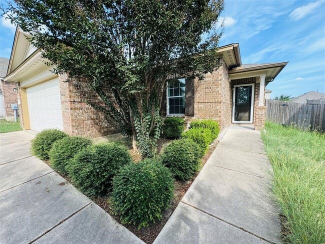 155 Dragon Ridge Rd in Buda, TX - Building Photo - Building Photo