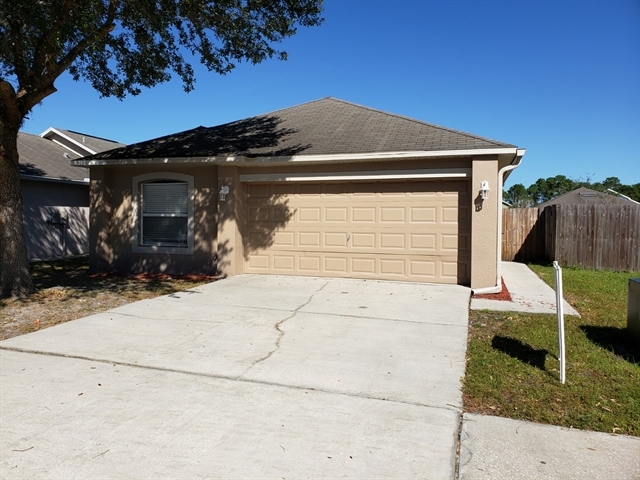 30339 Birdhouse Dr in Wesley Chapel, FL - Building Photo