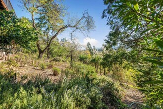 121 Knoll Pl in St Helena, CA - Building Photo - Building Photo