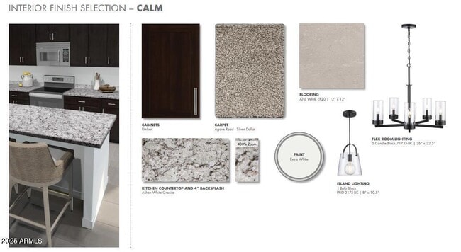 2026 S 242nd Ave in Buckeye, AZ - Building Photo - Building Photo