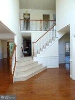 42140 Black Hills Pl in Stone Ridge, VA - Building Photo