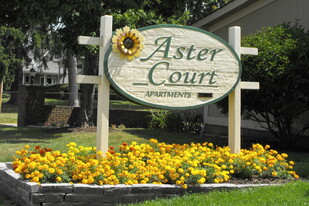 Aster Village Apartments