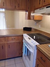 11668 Dunes Way Dr N in Jacksonville, FL - Building Photo - Building Photo