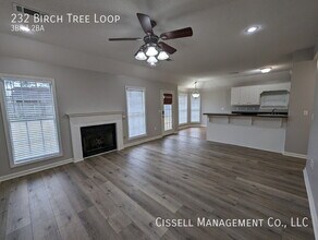 232 Birch Tree Loop in Oxford, MS - Building Photo - Building Photo