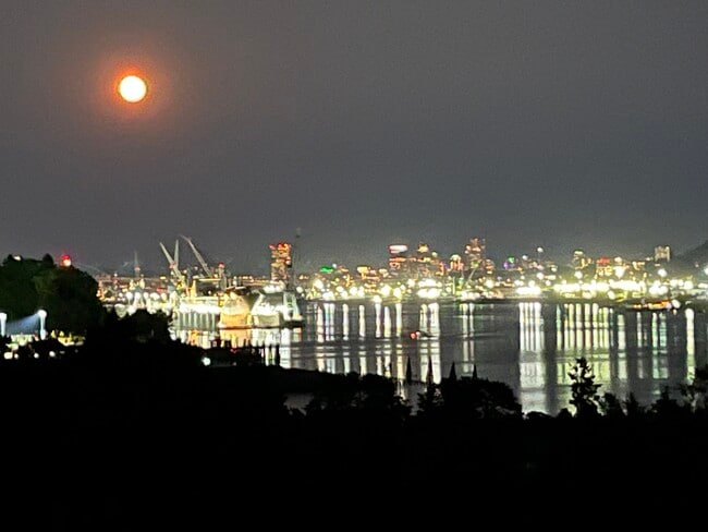 property at 7511 N Edgewater Ave