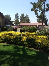 Teton Pines Apartments in Escondido, CA - Building Photo - Building Photo