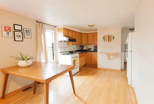 830 W 34th Pl, Unit Rear F1 in Chicago, IL - Building Photo