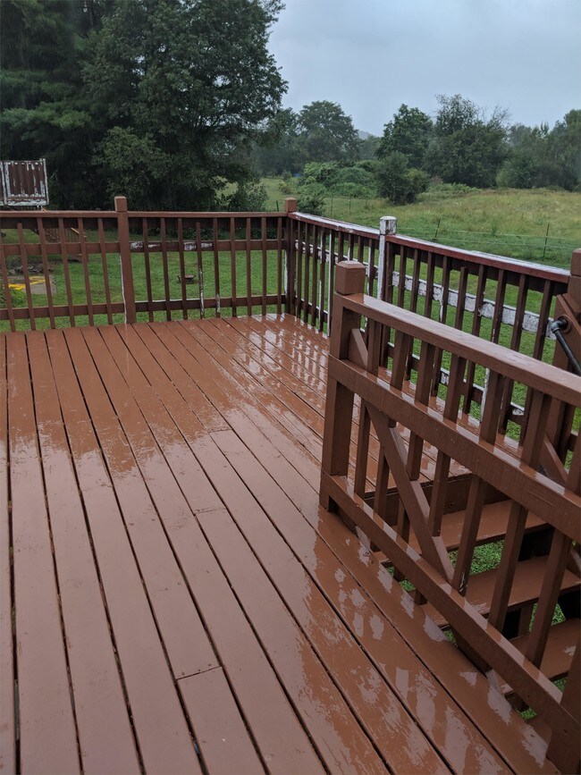 206 Belchertown Rd-Unit -1 in Amherst, MA - Building Photo - Building Photo