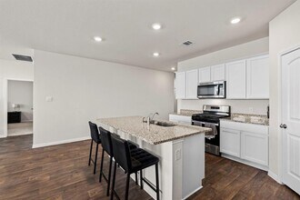 381 Evergreen Sumac Lp in Kyle, TX - Building Photo - Building Photo