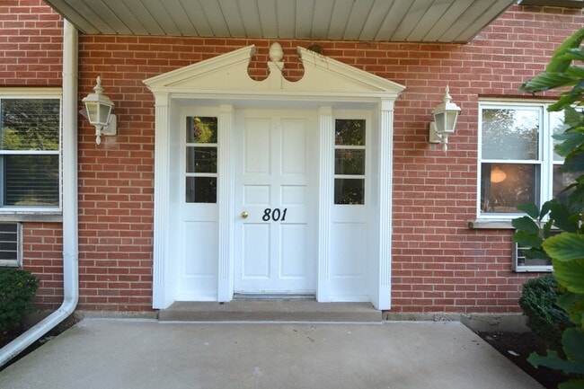 801 E Miner St in Arlington Heights, IL - Building Photo - Building Photo