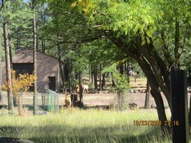3850 W White Mountain Blvd in Lakeside, AZ - Building Photo