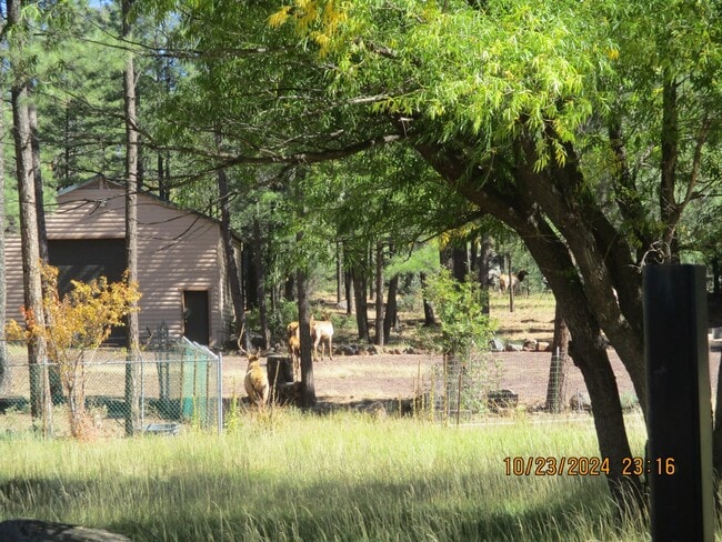 property at 3850 W White Mountain Blvd