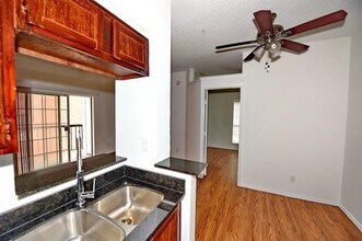 3701 Cedarplaza Ln in Dallas, TX - Building Photo - Building Photo