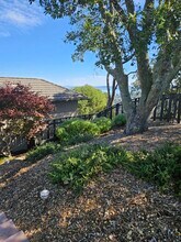 1202 Meadowcrest Dr in Corte Madera, CA - Building Photo - Building Photo