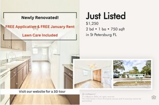 2611 41st Ave N in St. Petersburg, FL - Building Photo